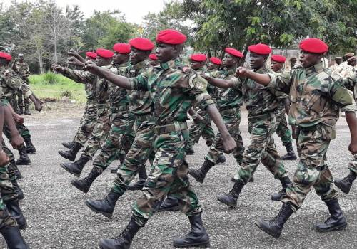 Le gouvernement veut rendre opérationnelles les Forces de Défense et de Sécurité