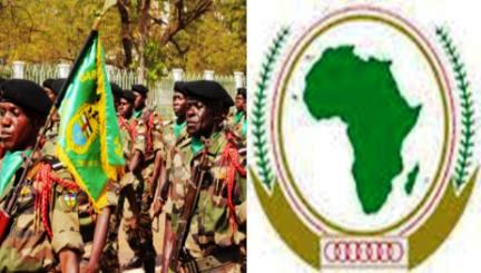 360 éléments des FACA déployés à Obo contre la LRA