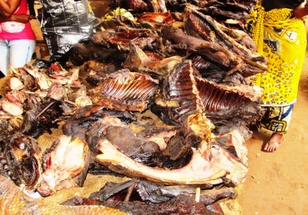 Plus de transport de viande de brousse vers l’UE