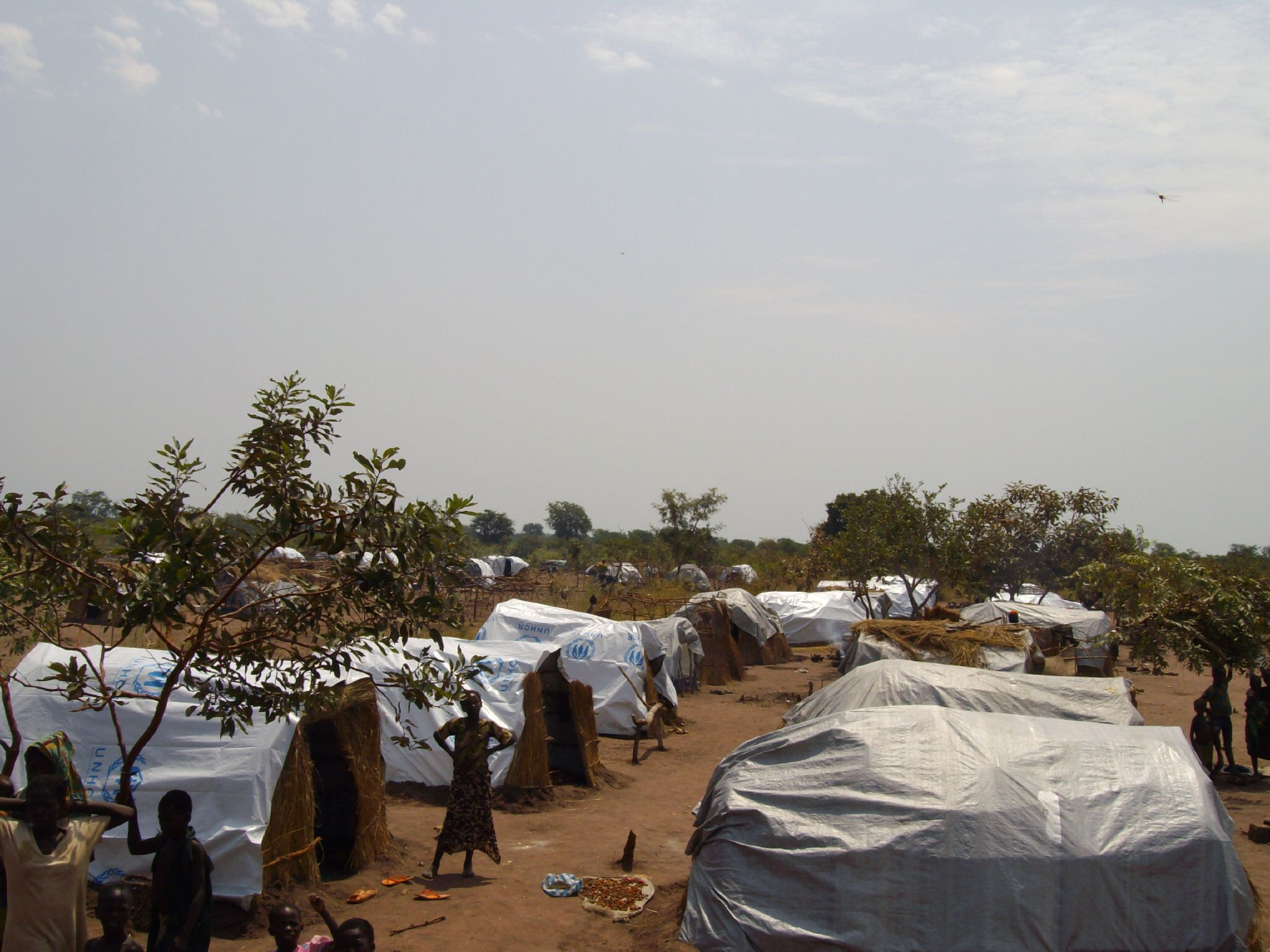 Centrafrique : la localité de Kabo menacée par la famine ?